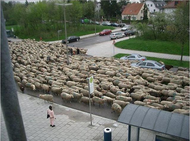 Bildschirmarbeiter - Picdump 12.10.2012