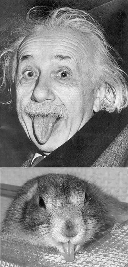 Bildschirmarbeiter - Picdump 12.10.2012