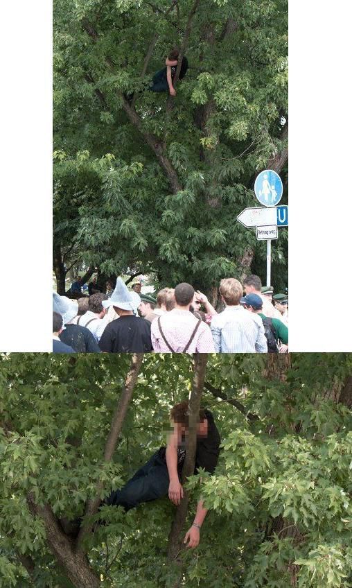 Bildschirmarbeiter - Picdump 12.10.2012