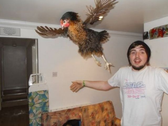 Bildschirmarbeiter - Picdump 19.10.2012