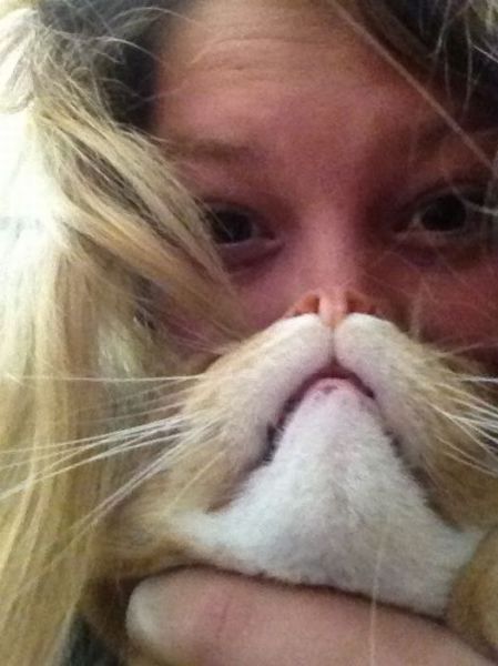 Bildschirmarbeiter - Picdump 19.10.2012