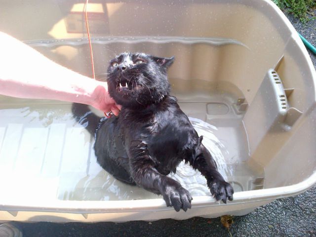 Bildschirmarbeiter - Picdump 19.10.2012