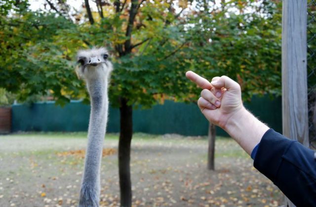 Bildschirmarbeiter - Picdump 19.10.2012