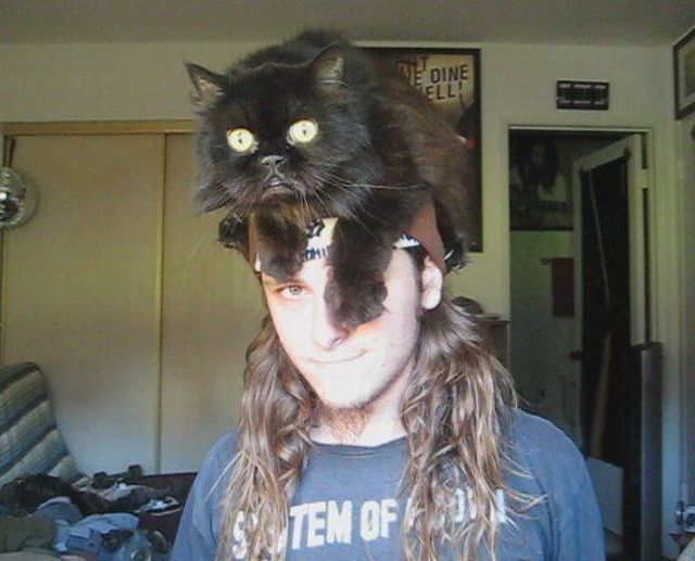 Bildschirmarbeiter - Picdump 19.10.2012