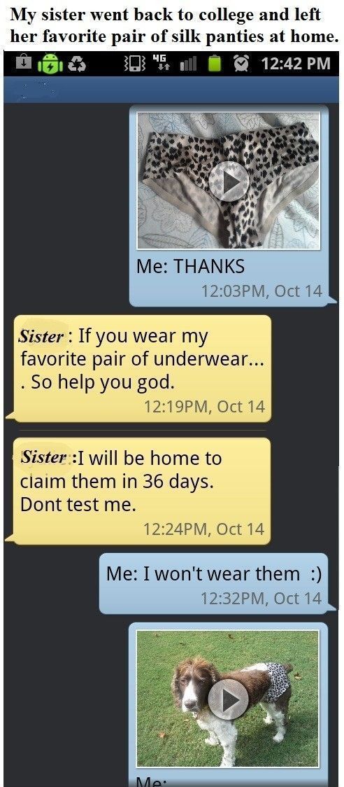 Bildschirmarbeiter - Picdump 19.10.2012