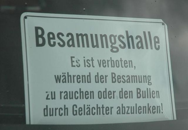 Bildschirmarbeiter - Picdump 19.10.2012