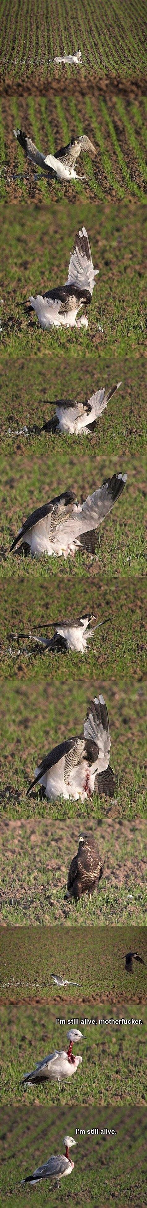 Bildschirmarbeiter - Picdump 19.10.2012