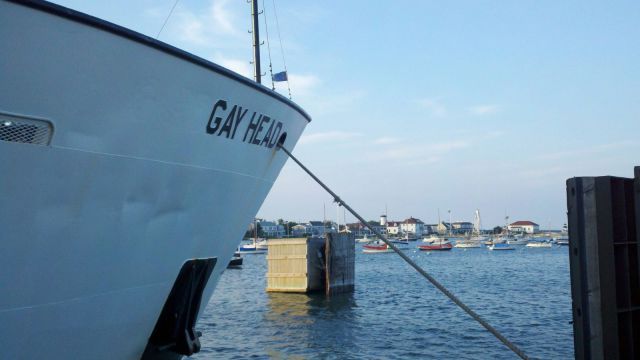 Bildschirmarbeiter - Picdump 26.10.2012