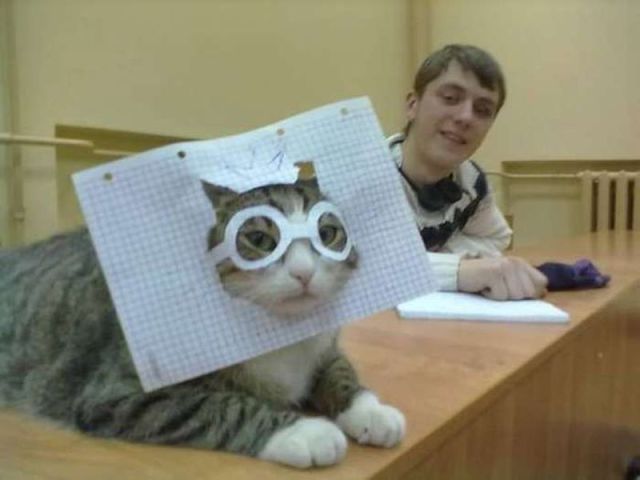 Bildschirmarbeiter - Picdump 26.10.2012