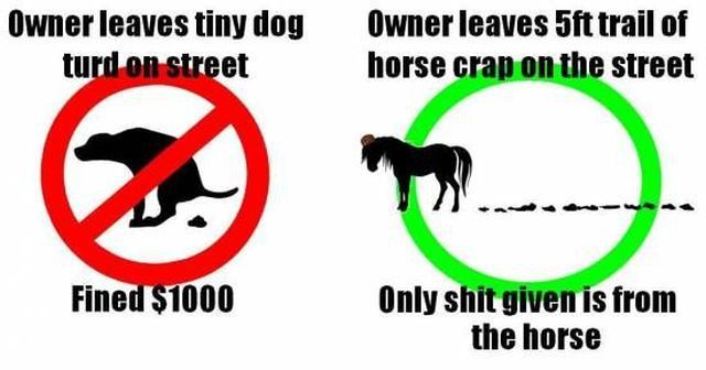 Bildschirmarbeiter - Picdump 26.10.2012