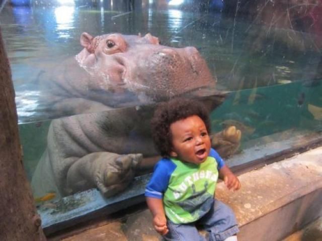 Bildschirmarbeiter - Picdump 26.10.2012