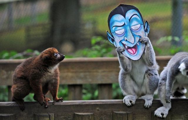 Bildschirmarbeiter - Picdump 26.10.2012