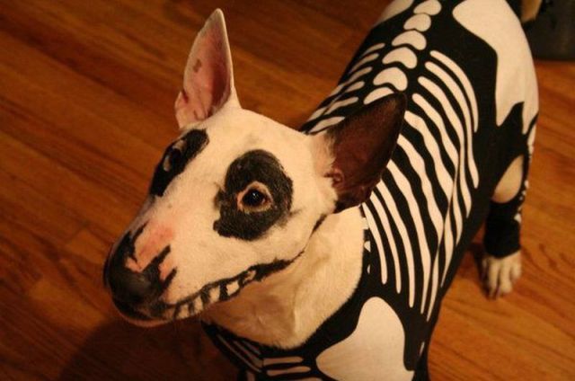 Bildschirmarbeiter - Picdump 26.10.2012