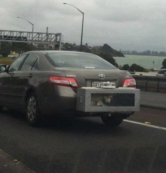 Bildschirmarbeiter - Picdump 26.10.2012