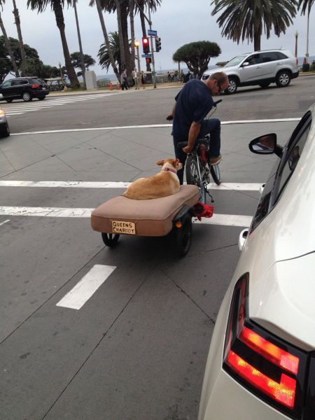 Bildschirmarbeiter - Picdump 26.10.2012