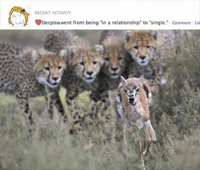 Bildschirmarbeiter - Picdump 26.10.2012