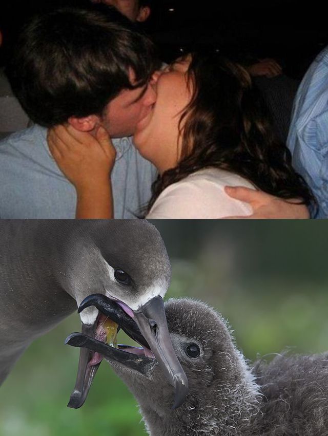 Bildschirmarbeiter - Picdump 26.10.2012