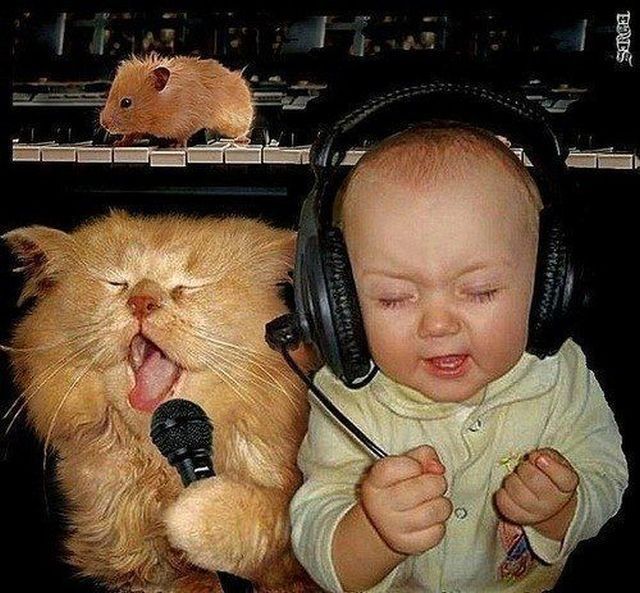 Bildschirmarbeiter - Picdump 26.10.2012