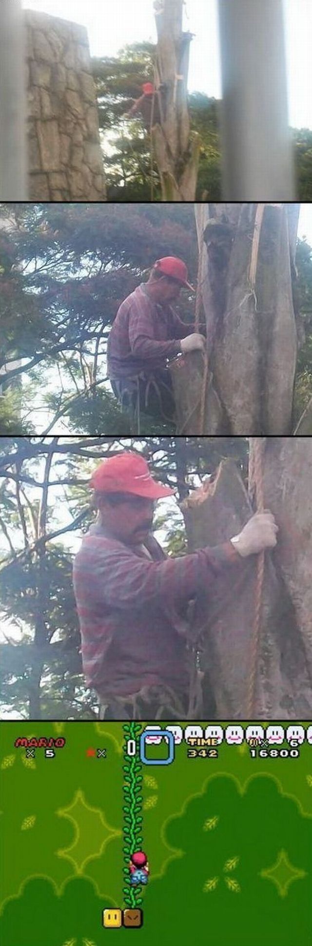 Bildschirmarbeiter - Picdump 26.10.2012