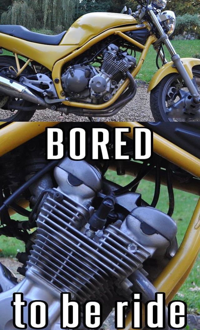 Bildschirmarbeiter - Picdump 26.10.2012