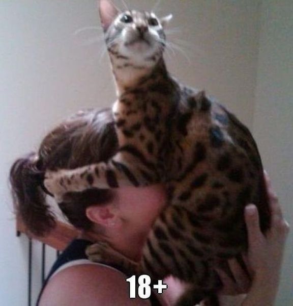 Bildschirmarbeiter - Picdump 16.11.2012