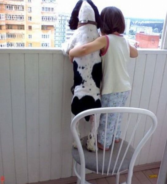 Bildschirmarbeiter - Picdump 16.11.2012