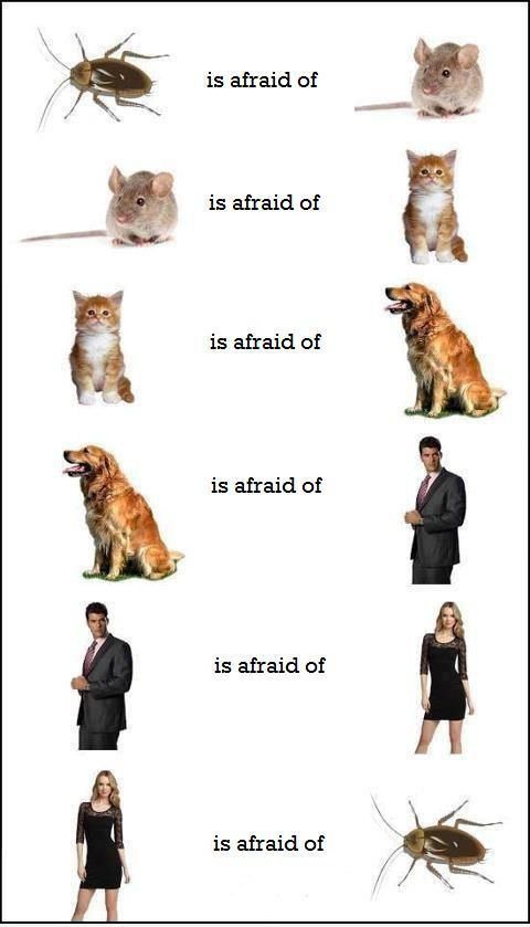 Bildschirmarbeiter - Picdump 16.11.2012