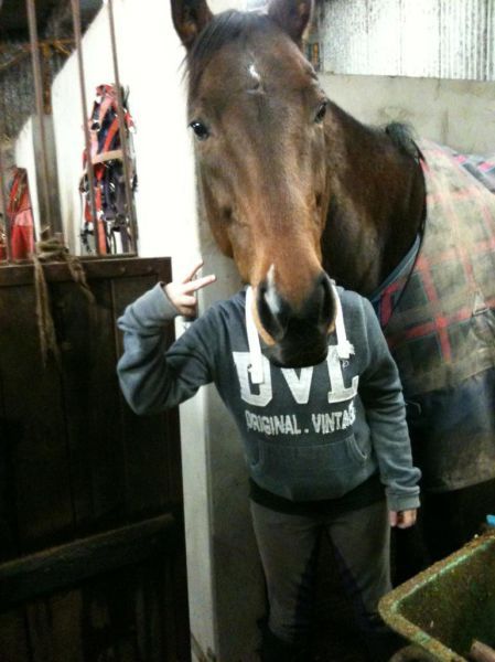 Bildschirmarbeiter - Picdump 16.11.2012