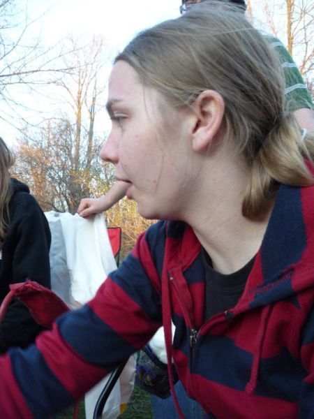 Bildschirmarbeiter - Picdump 16.11.2012