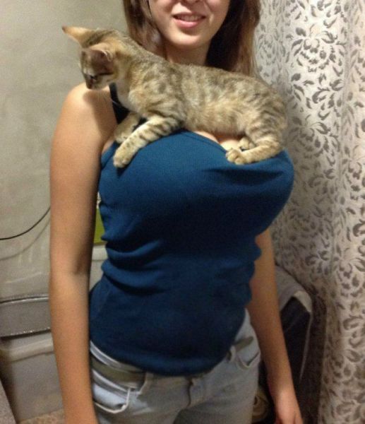 Bildschirmarbeiter - Picdump 16.11.2012