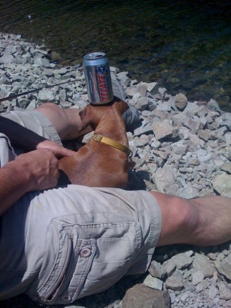 Bildschirmarbeiter - Picdump 16.11.2012