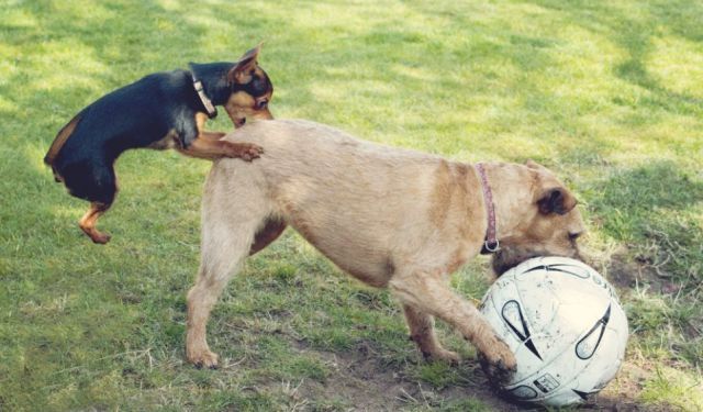 Bildschirmarbeiter - Picdump 16.11.2012