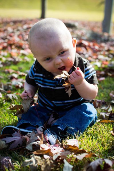 Bildschirmarbeiter - Picdump 16.11.2012