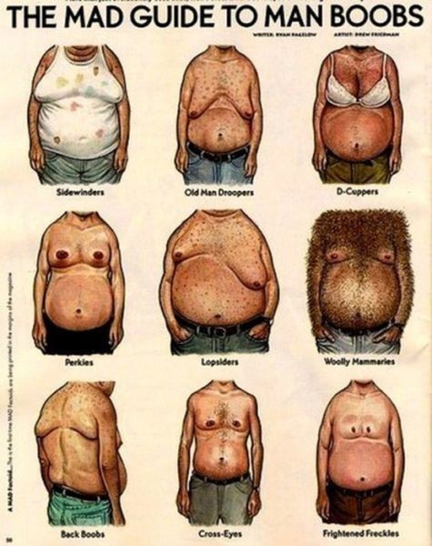 Bildschirmarbeiter - Picdump 16.11.2012