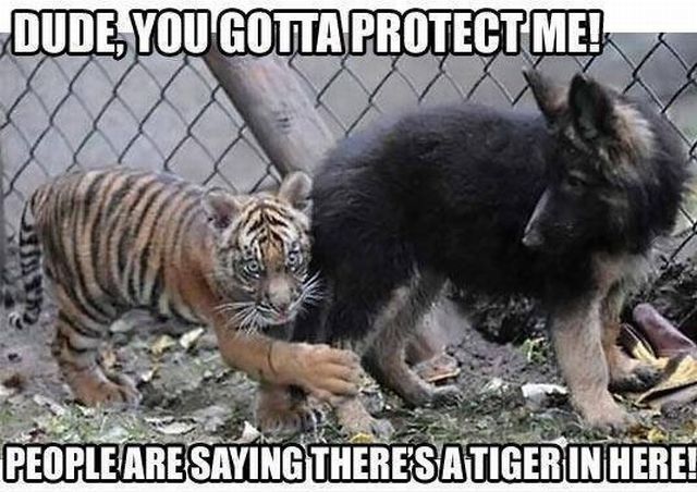 Bildschirmarbeiter - Picdump 16.11.2012