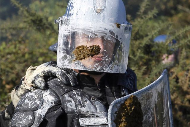 Bildschirmarbeiter - Picdump 16.11.2012