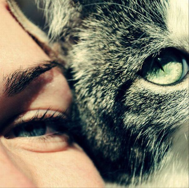 Bildschirmarbeiter - Picdump 16.11.2012