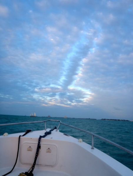 Bildschirmarbeiter - Picdump 23.11.2012