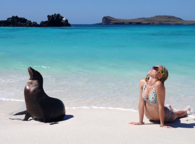 Bildschirmarbeiter - Picdump 23.11.2012