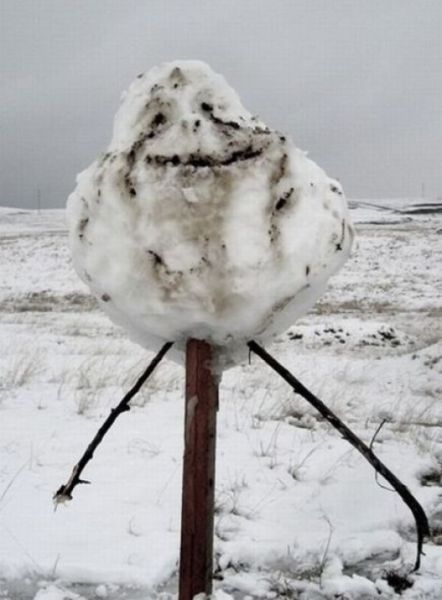 Bildschirmarbeiter - Picdump 23.11.2012