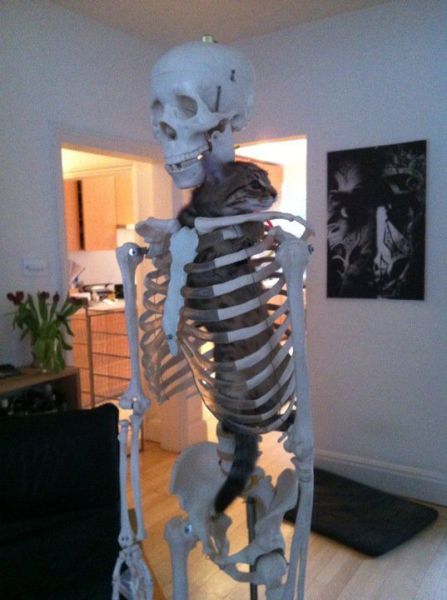 Bildschirmarbeiter - Picdump 23.11.2012