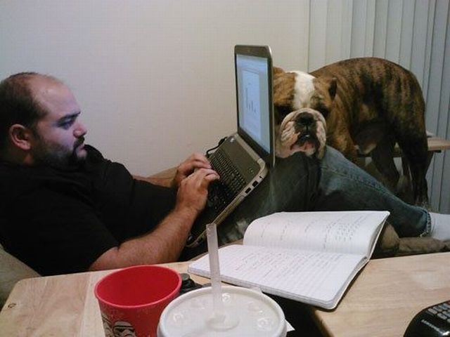 Bildschirmarbeiter - Picdump 23.11.2012