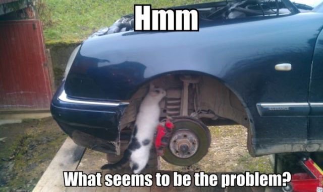 Bildschirmarbeiter - Picdump 23.11.2012