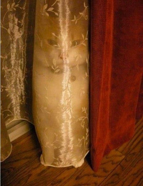 Bildschirmarbeiter - Picdump 23.11.2012