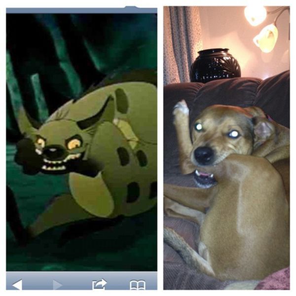 Bildschirmarbeiter - Picdump 23.11.2012