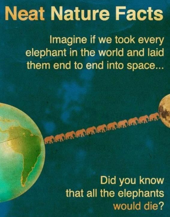 Bildschirmarbeiter - Picdump 23.11.2012