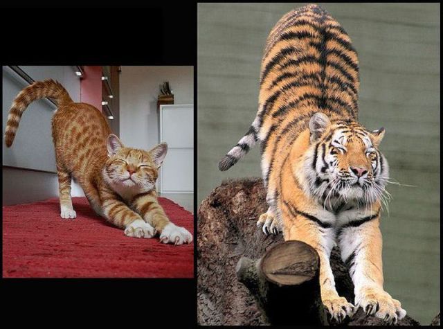 Bildschirmarbeiter - Picdump 23.11.2012