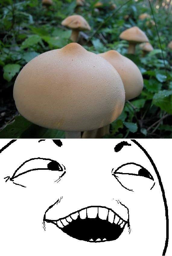 Bildschirmarbeiter - Picdump 23.11.2012