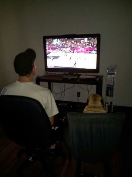 Bildschirmarbeiter - Picdump 30.11.2012