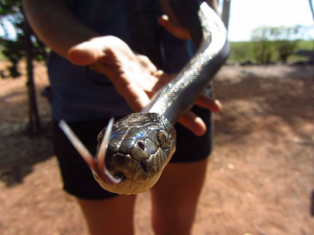 Bildschirmarbeiter - Picdump 30.11.2012